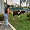 16plantlover