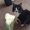 urraruuurtrg