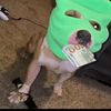 helloitsmejeremy