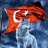 akcay252