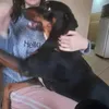 camila_duarte05