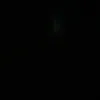 nicola_4080