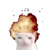defo_not_armandas