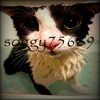 soggy75689