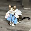 oldvettech