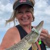 walleyewood