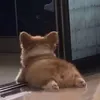 ppukan_