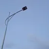ngoctran493