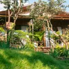 homestaynhabensuoidaklak