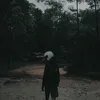 sydi.12