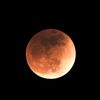 jacob_codm_4321