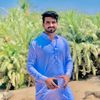 mr.wasu33