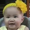 sophiadelacerna26