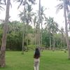 callme_desi2