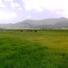 walkumselam