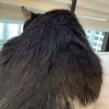 hairymonkey123