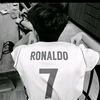 .cl33