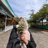 alfianaaaputri