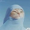 felinoophilee