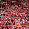 susie_h_lfc_fan