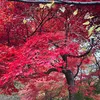 yamamoto.com1