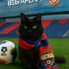 sinyak.cska