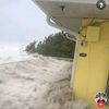 damapapi_reports