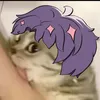 dragonliglubglub