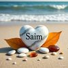 msaim072