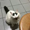 maciela_17