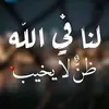 user517805333