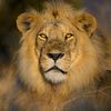 abdoulive120