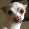 xxxkkkkf