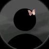 nour_talta_e3dady