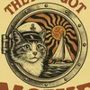 MoxtheBoat | Sailing Cat 🐈