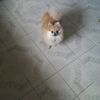 daniellule3
