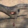 mongamatteo9