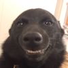 _badscar