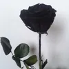 bintu_hamzah99