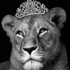 khulod_hj