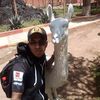 johnlee.tigre