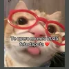mingaubom12