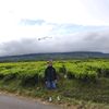 _bolang_raharja206