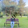 bikrm84