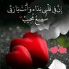 user224072764585