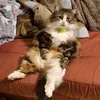 tillyfloss72