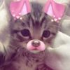 nim.yuree2