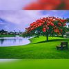 maanka_122