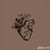 hanayoussef41