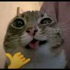 tupsallaxd25